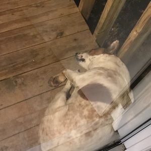 Meet your Posher, Maci